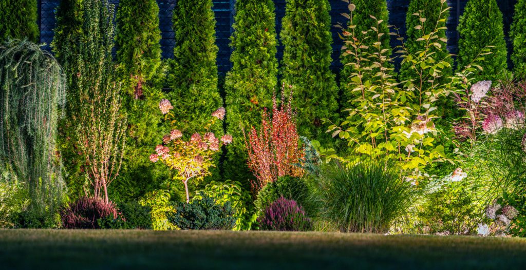 Beautiful landscape with layered plants and deor