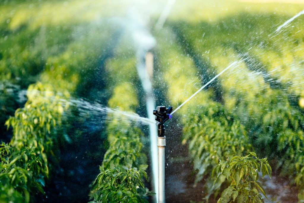 Image of an irrigation system working in a field