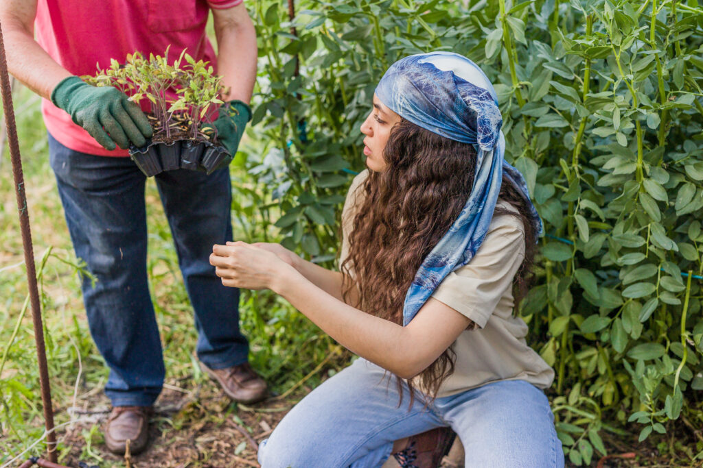 person planting native plants to help their area