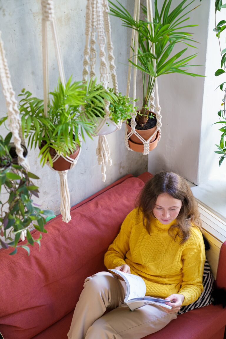 hanging indoor plants